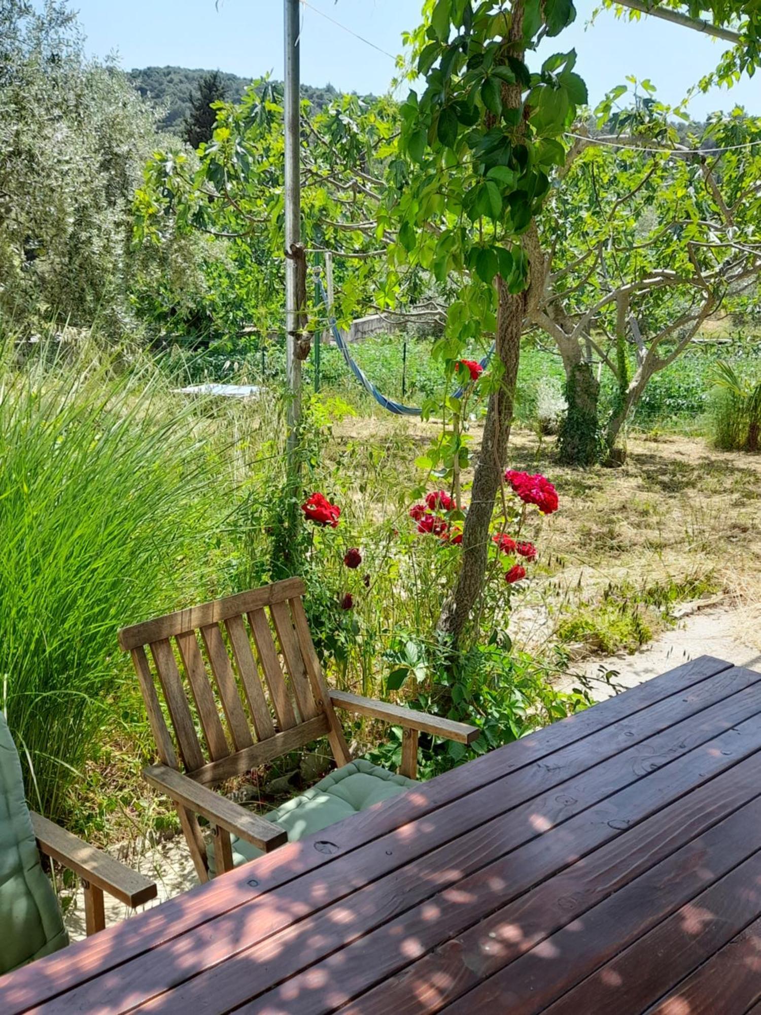 Rustic Holiday Home Miketa Lukoran Bagian luar foto